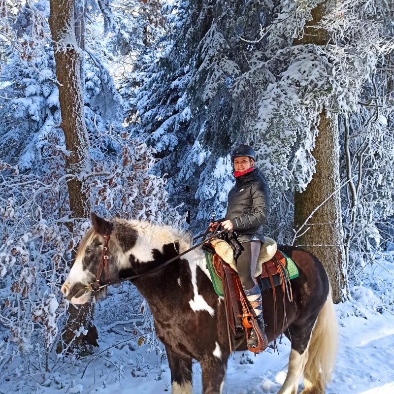 2023 12 Dezember 637